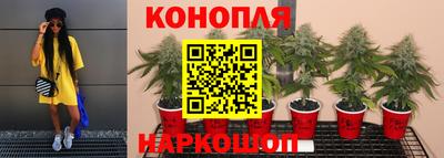 ГАЛЛЮЦИНОГЕННЫЕ ГРИБЫ Будённовск