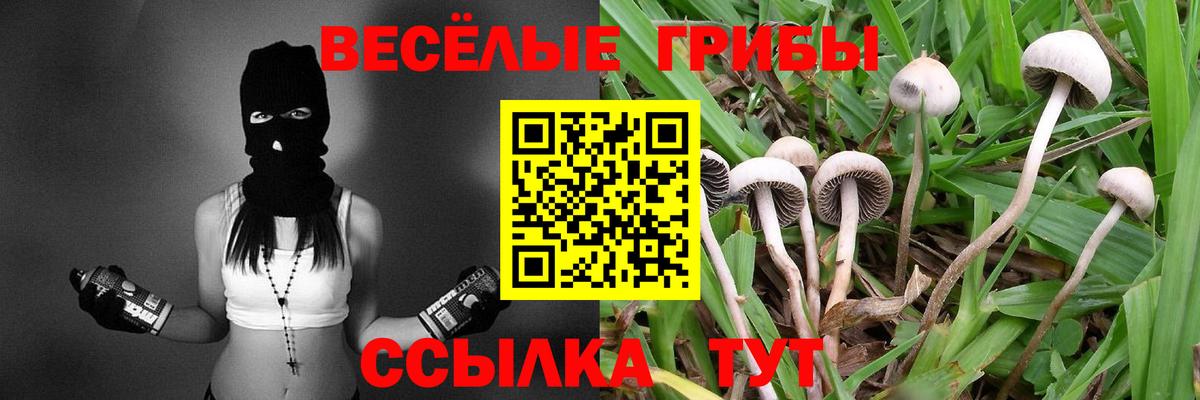 Петрозаводск  Псилоцибиновые грибы прущие грибы  где купить наркотик  Галлюциногенные грибы ЛСД  Вход с VPN 