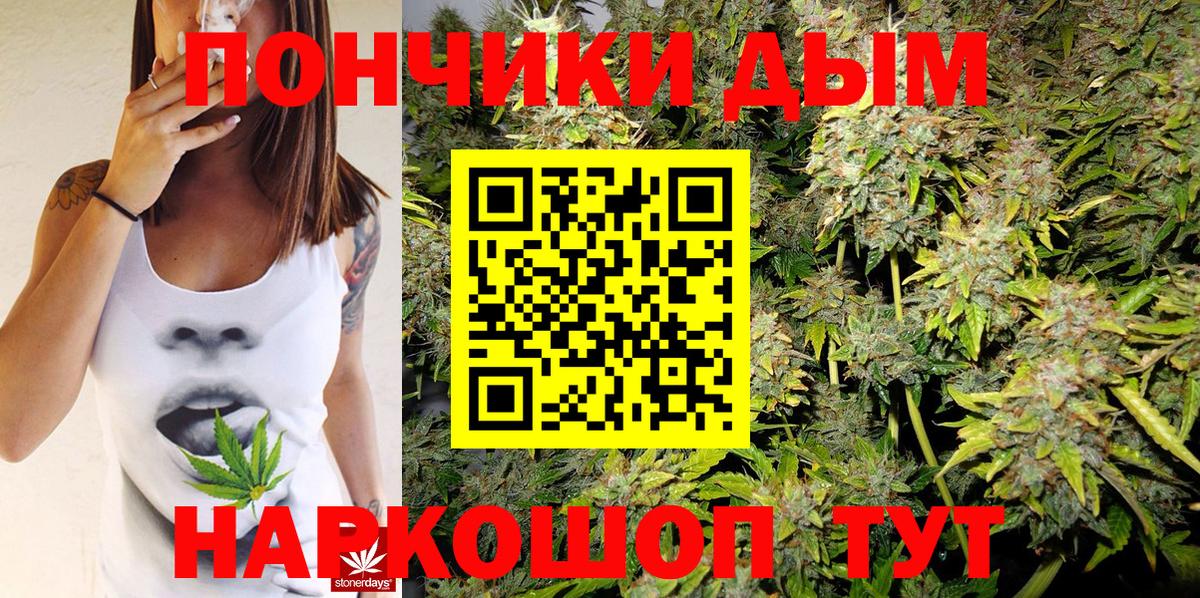 Бошки марихуана THC 21% Петрозаводск